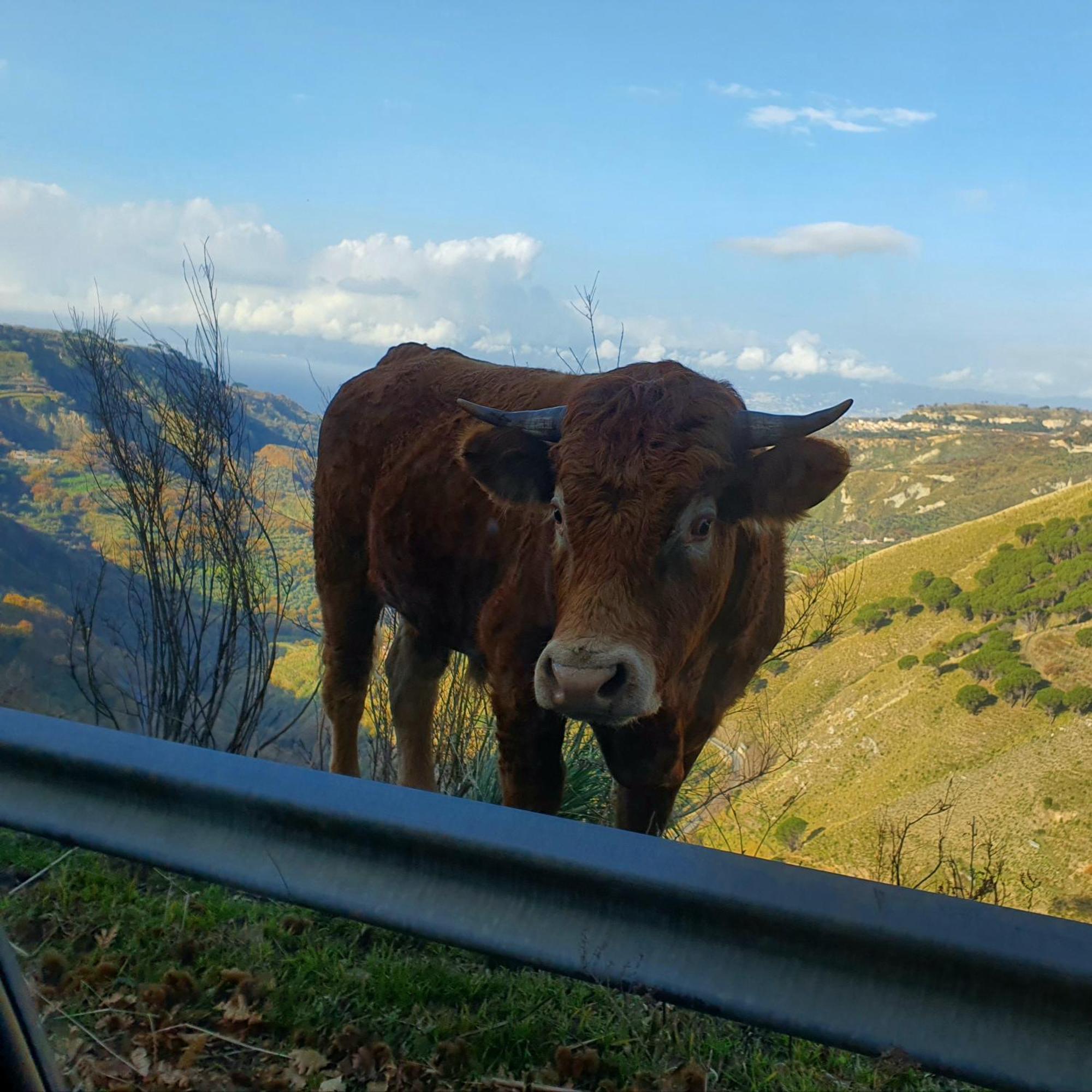 Park Hotel Bellavista Gambarie dʼAspromonte Εξωτερικό φωτογραφία